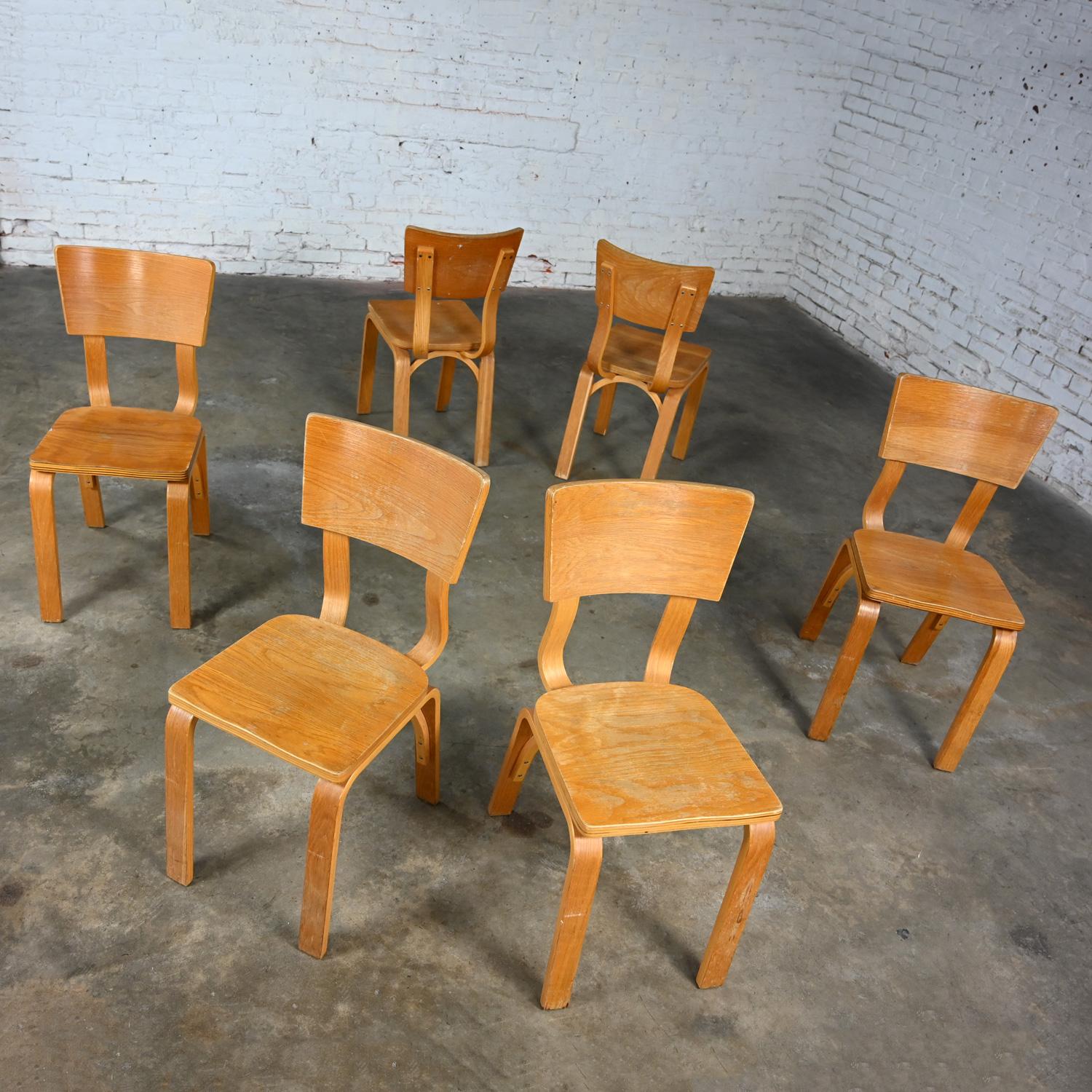 Ensemble de 6 chaises de salle à manger MCM Thonet #1216 en contreplaqué de chêne courbé, assise en selle, arc simple en vente 12