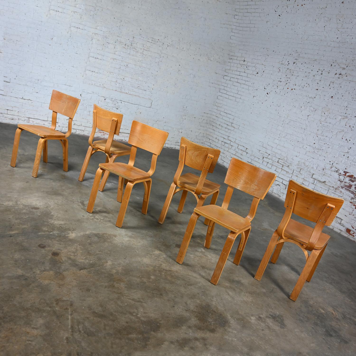 Ensemble de 6 chaises de salle à manger MCM Thonet #1216 en contreplaqué de chêne courbé, assise en selle, arc simple en vente 1