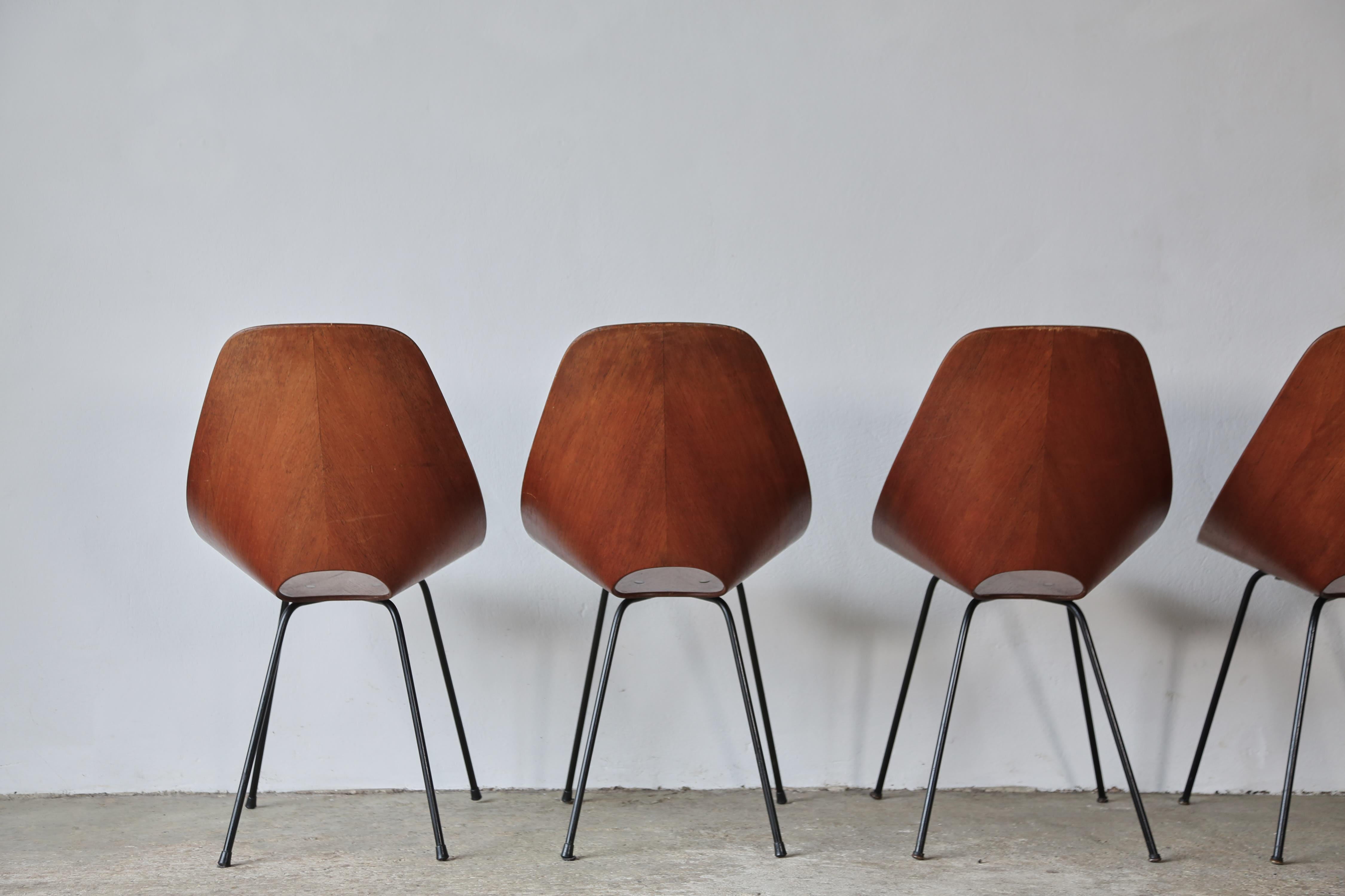Set of 6 Medea Chairs by Vittorio Nobili, Fratelli Tagliabue, Italy, 1950s For Sale 11