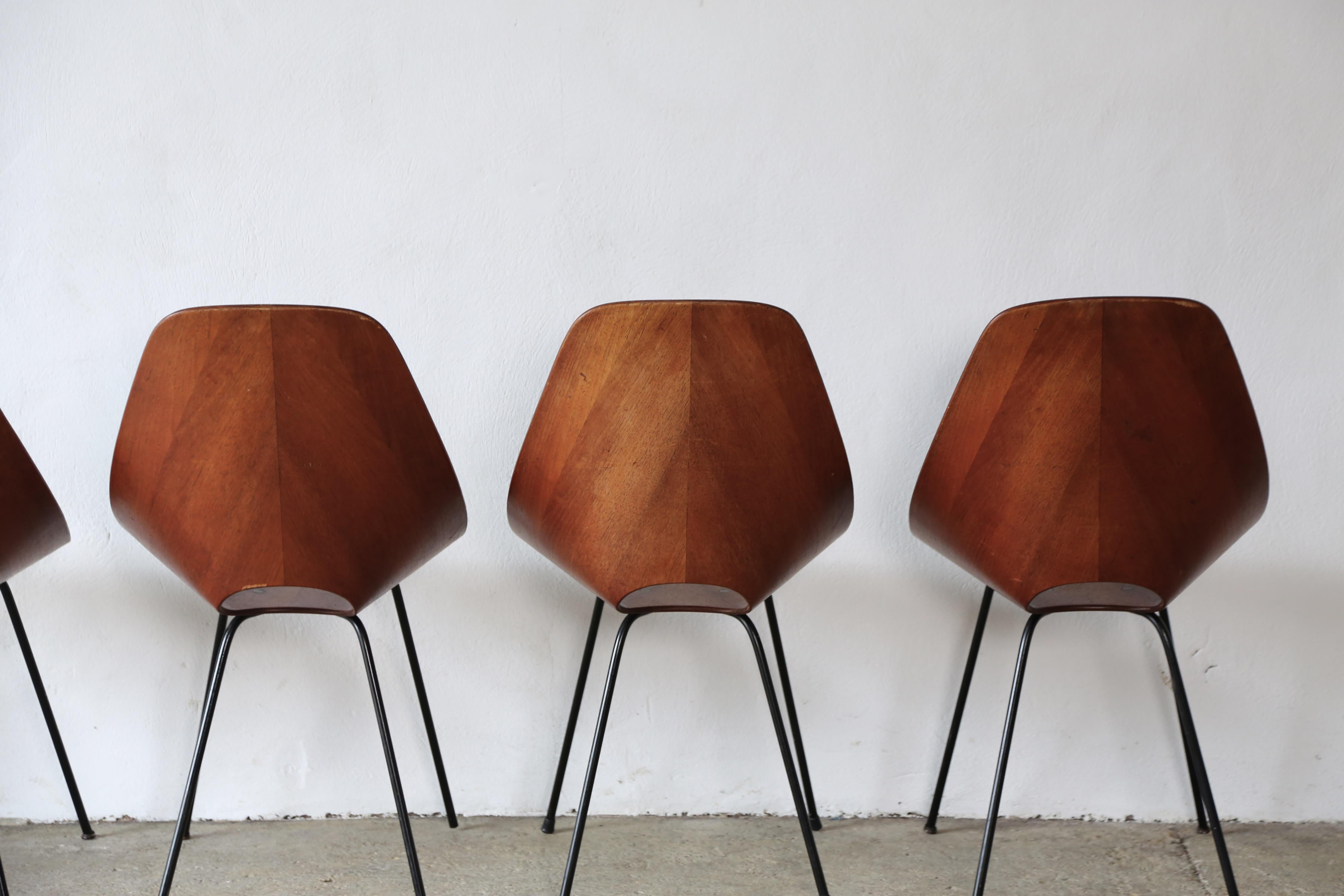 Set of 6 Medea Chairs by Vittorio Nobili, Fratelli Tagliabue, Italy, 1950s For Sale 12