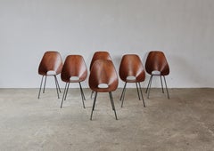 Set of 6 Medea Chairs by Vittorio Nobili, Fratelli Tagliabue, Italy, 1950s
