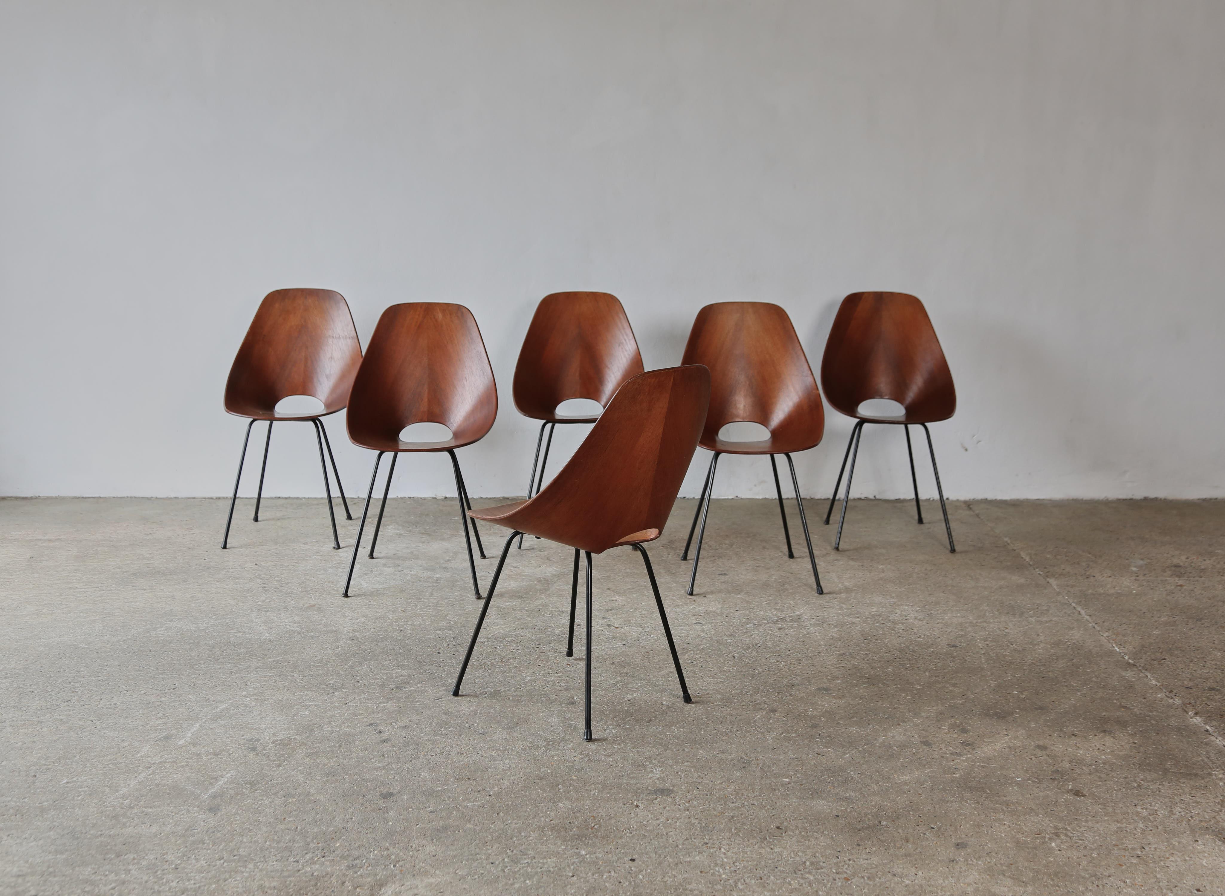 Mid-Century Modern Set of 6 Medea Chairs by Vittorio Nobili, Fratelli Tagliabue, Italy, 1950s For Sale