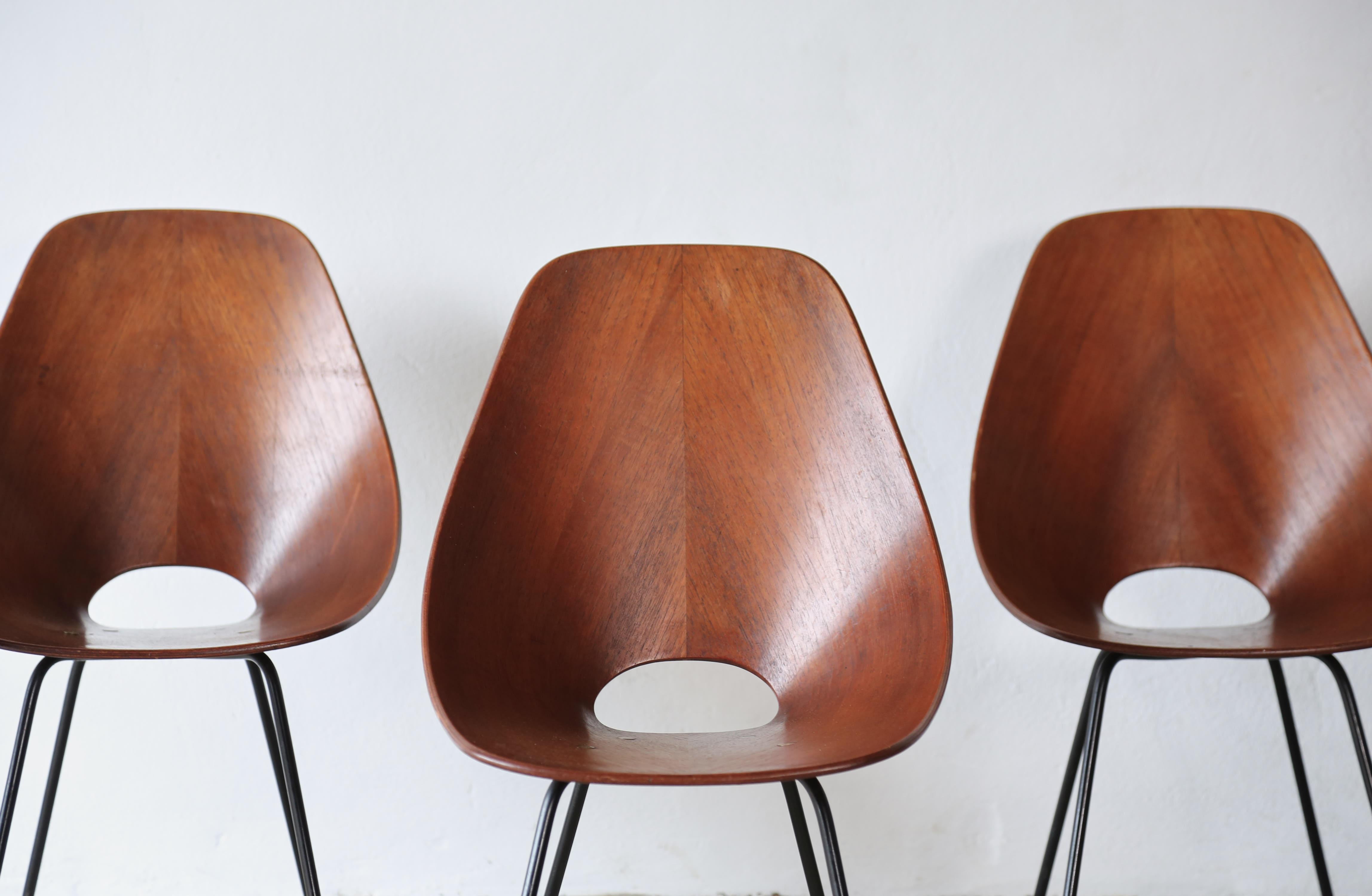20th Century Set of 6 Medea Chairs by Vittorio Nobili, Fratelli Tagliabue, Italy, 1950s For Sale