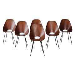 Ensemble de 6 chaises Medea de Vittorio Nobili, Fratelli Tagliabue, Italie, années 1950