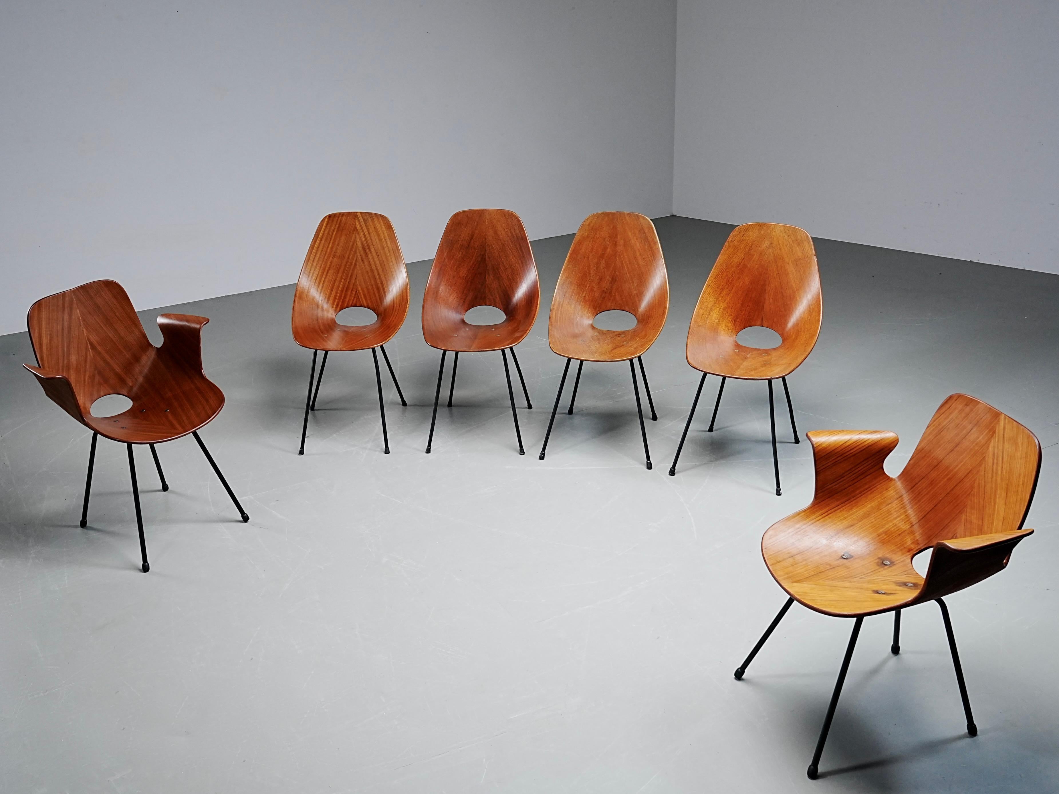 Set di 6 sedie da pranzo Medea completamente restaurate di Vitorio Nobilis per Fratelli Tagliabue in Wood e metallo, Italia, 1955. Due con bracciolo.

Le conosciamo tutti, è una serie di sedie molto iconiche. Le forme arrotondate e l'aspetto