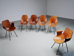 Set of 6 Medea Dining Chairs (2 Armchairs) by Vittorio Nobile, Italy, 1950's