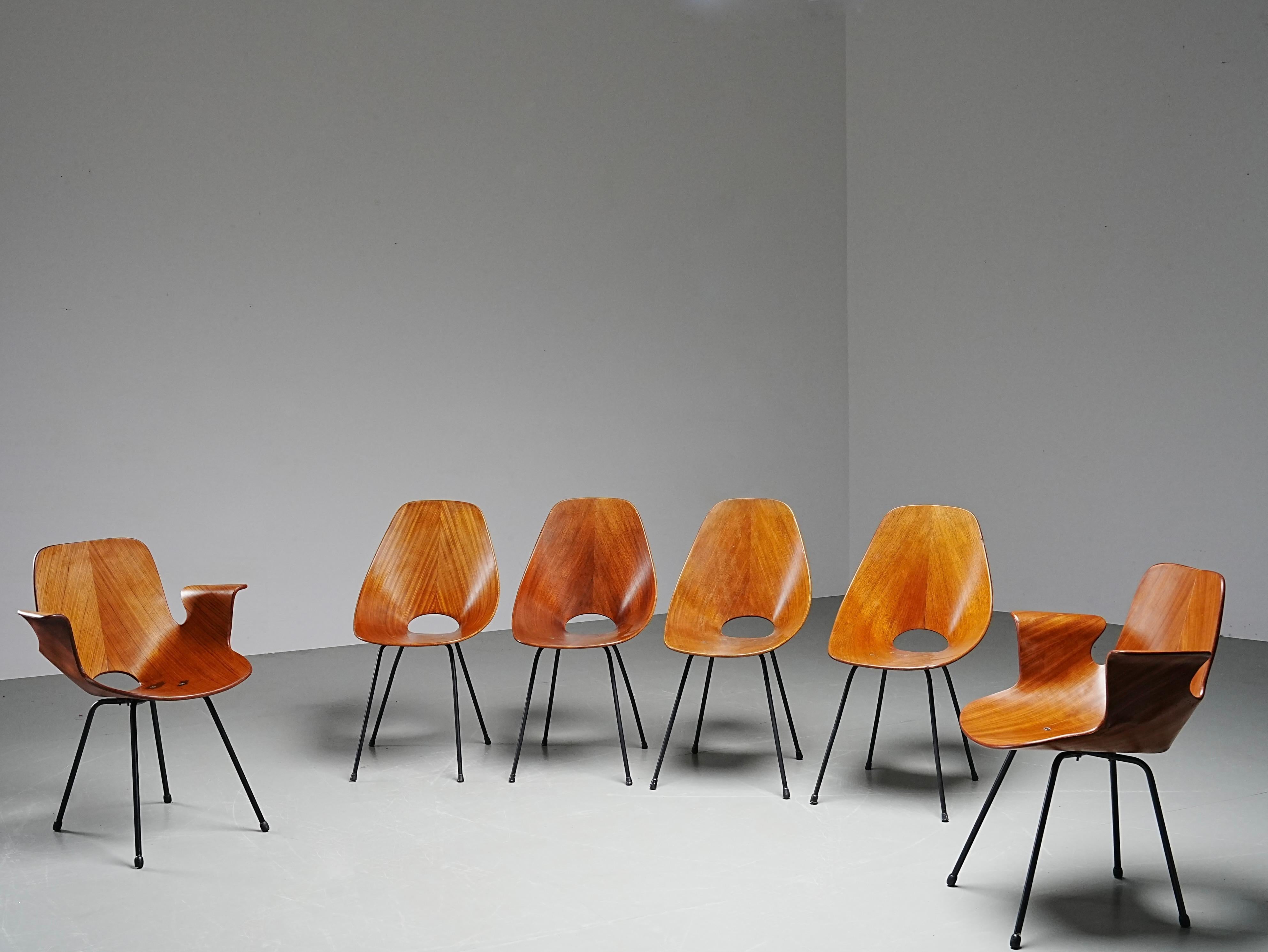 Mid-Century moderno Set di 6 sedie da pranzo Medea (2 poltrone) di Vittorio Nobile, Italia, anni '50 in vendita