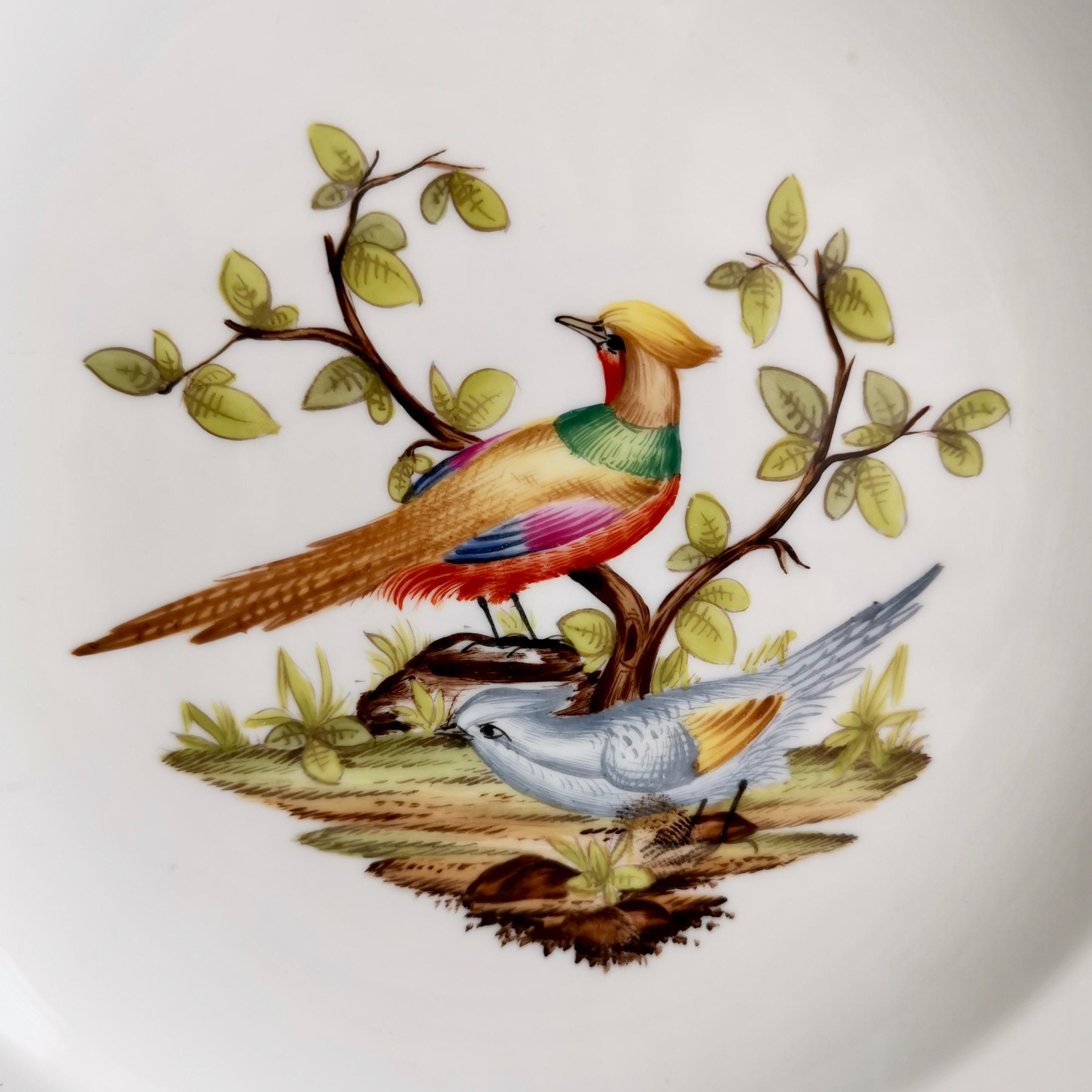 19th Century Set of 6 Meissen Porcelain Dessert Plates, White, Hand Painted Birds, 1852-1870