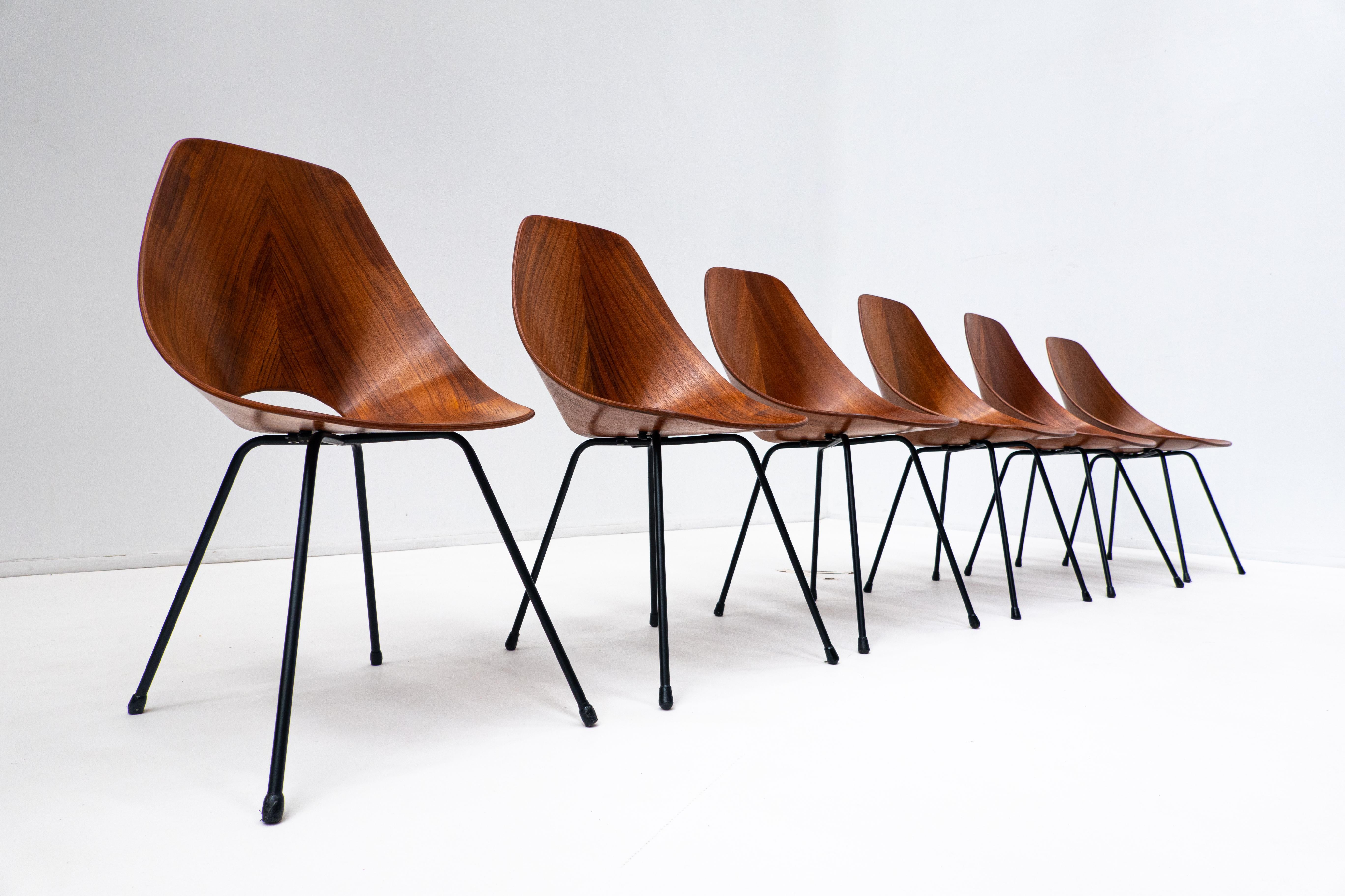 Set of 6 Mid-Century wooden dining chair by Vittorio Nobili for Fratelli Tagliabue - Italy 1950s.