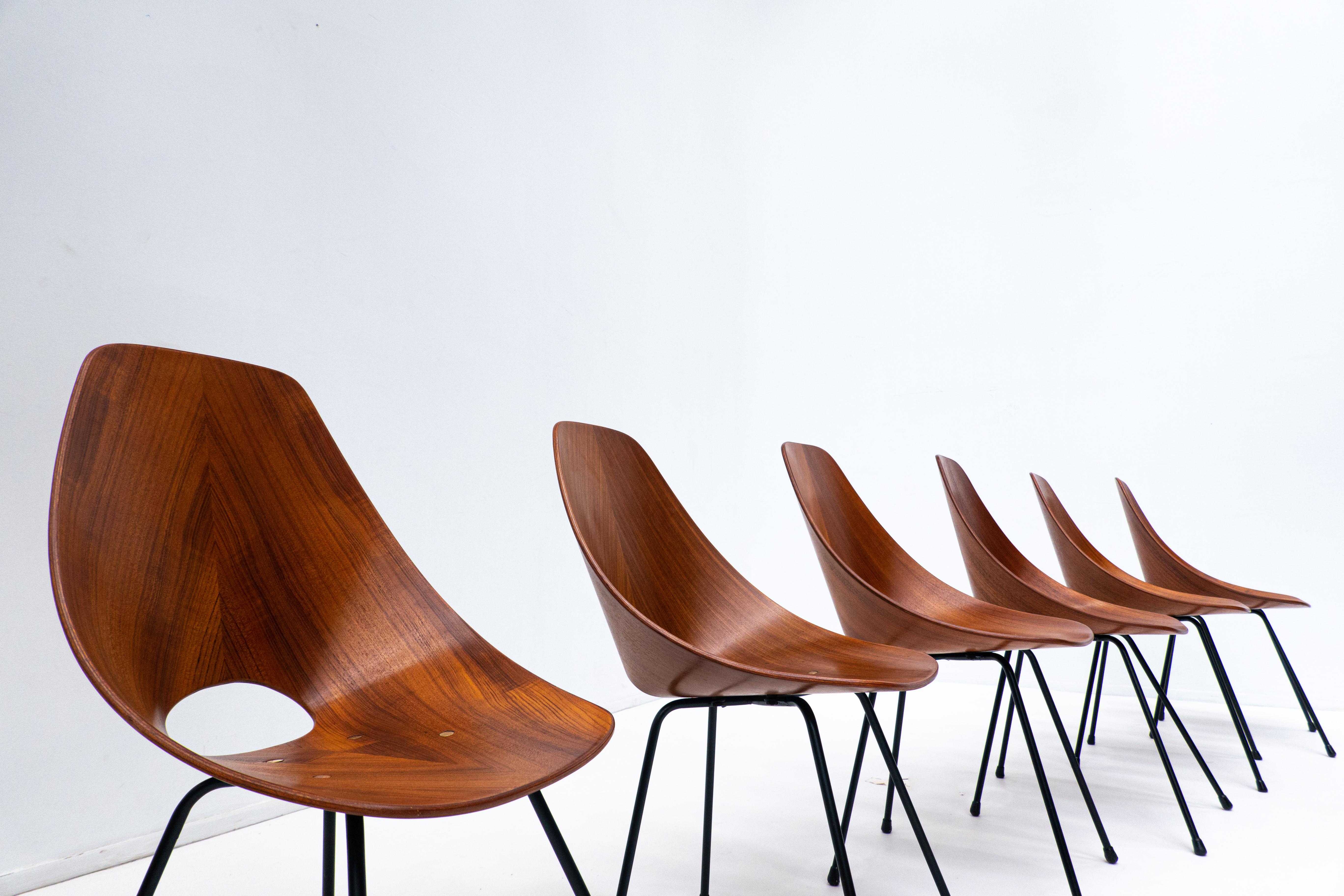 Mid-20th Century Set of 6 Mid-Century Chairs by Vittorio Nobili for Fratelli Tagliabue, Italy