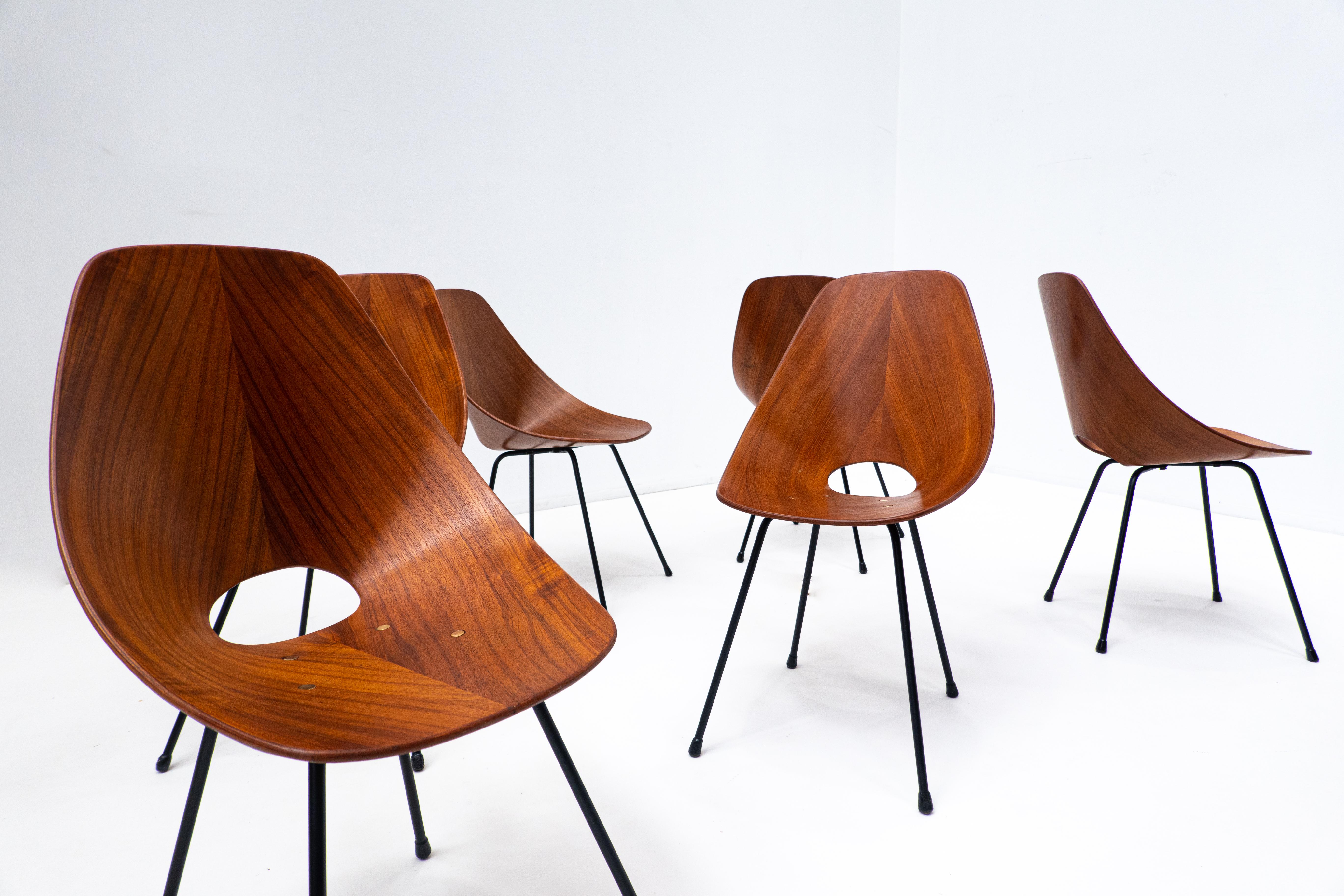 Wood Set of 6 Mid-Century Chairs by Vittorio Nobili for Fratelli Tagliabue, Italy