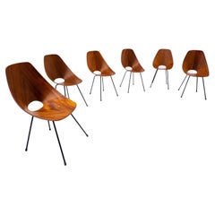 Set of 6 Mid-Century Chairs by Vittorio Nobili for Fratelli Tagliabue, Italy
