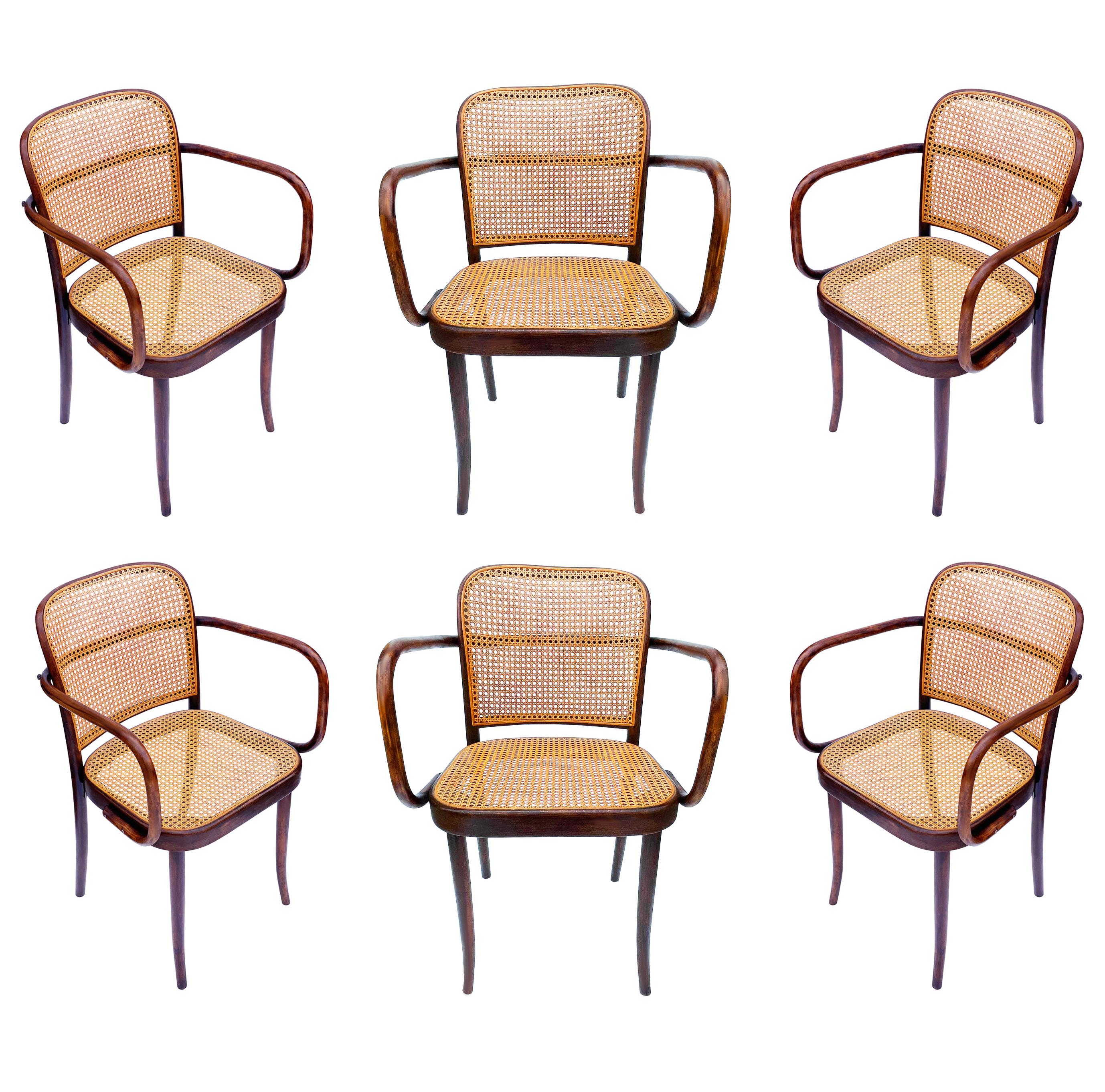 Set of 6 Mid-Century Modern Dining Prague Chairs by Josef Hoffmann Cane & Wood 4