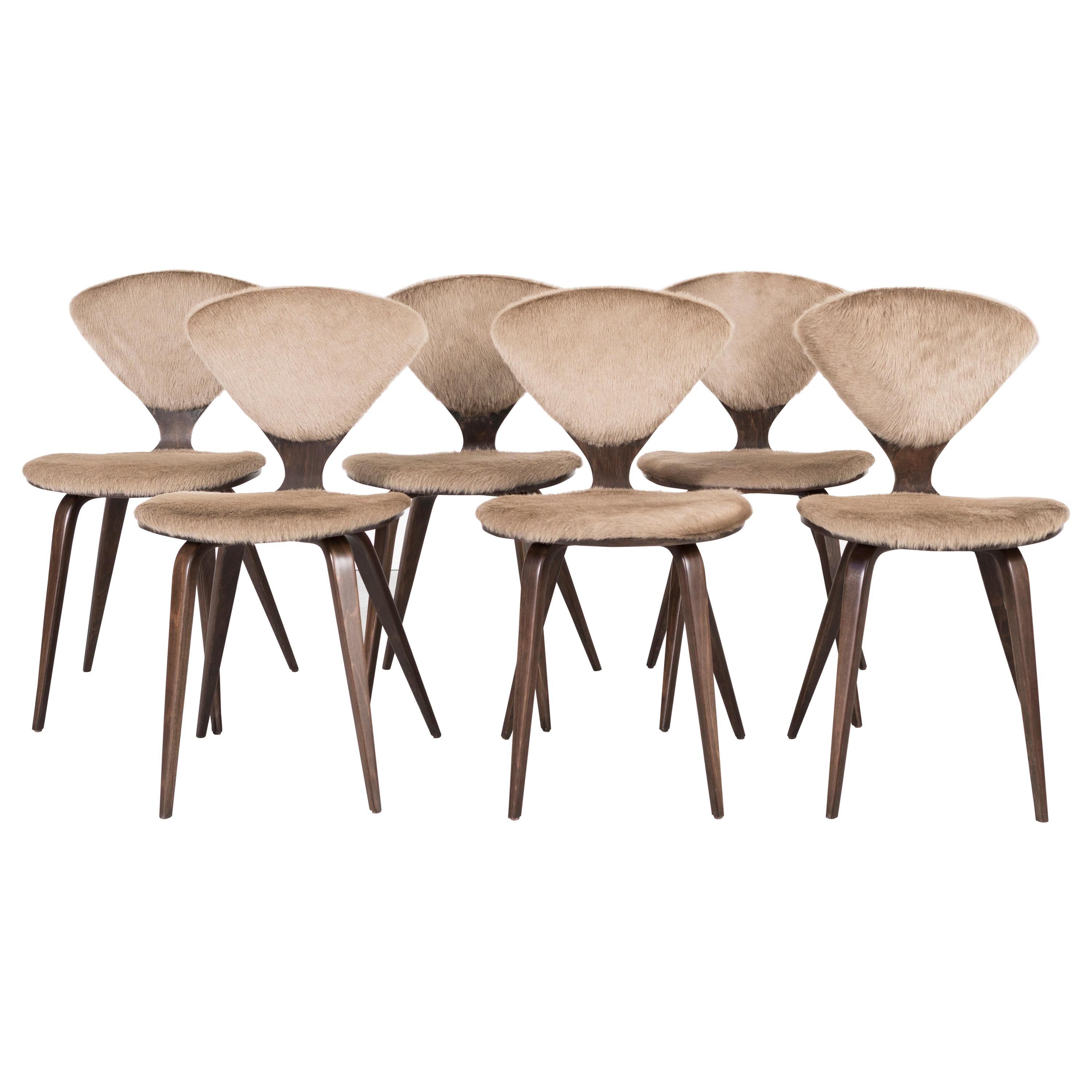 Set of Mid-Century Modern Norman Cherner for Plycraft Dining Chairs