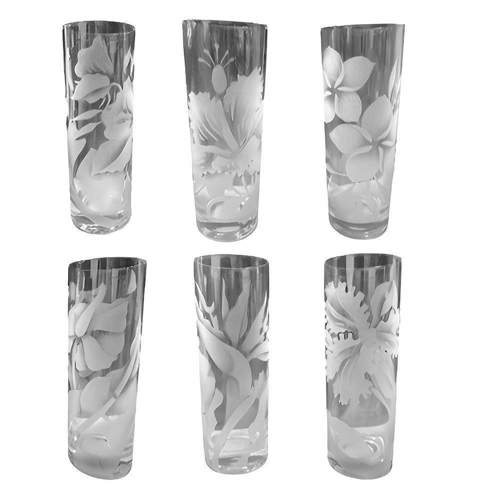 Mid-20th Century Set of 6 Mid-century Thorpe Style Sandblasted Etched Tom Collins Barware Glasses