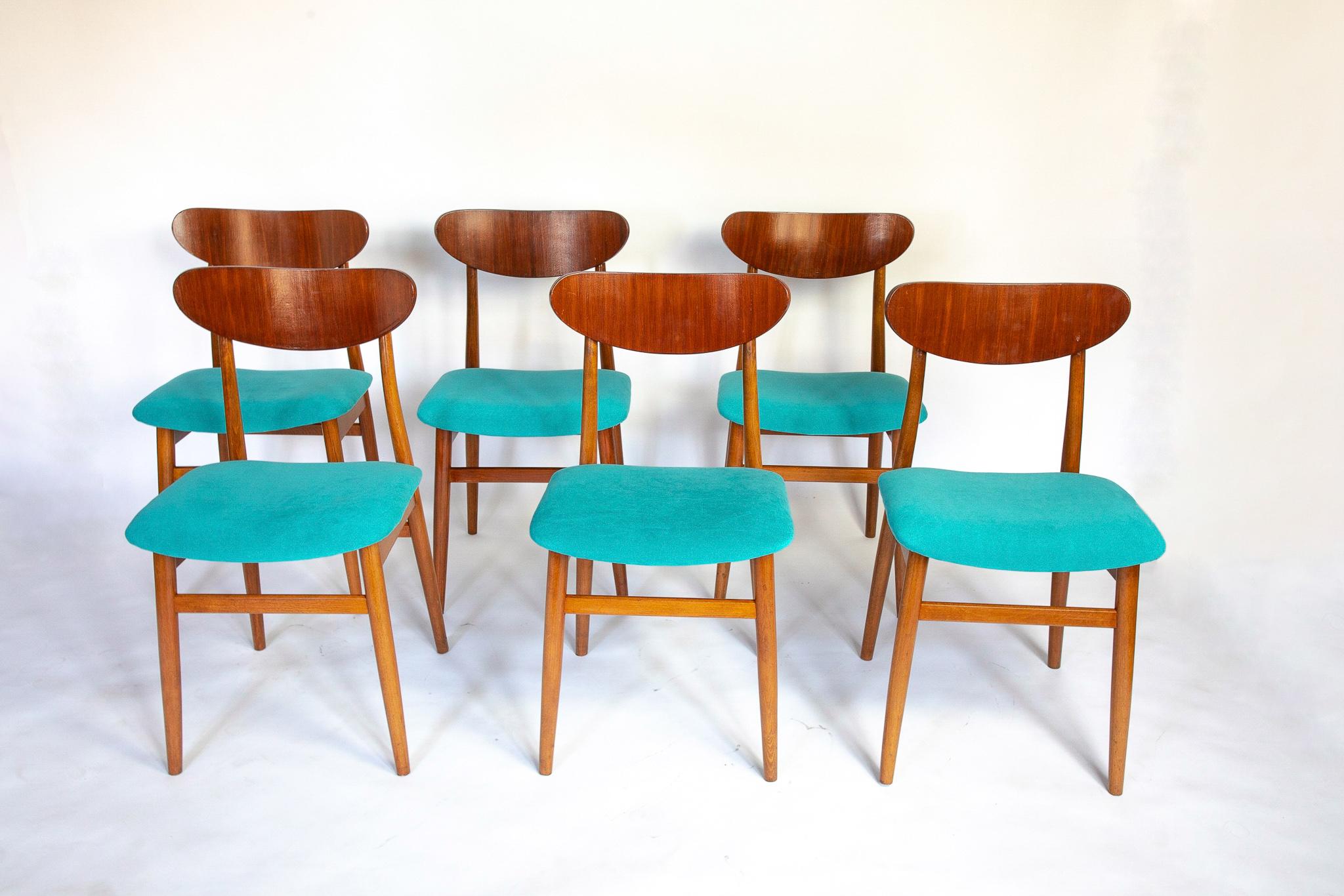 Mid Century Modern dining chairs with blue velvet upholstery, Set of 6, 1950s

This set of six Mid-Century Modern wooden dining chairs adds a subtle elegance to every dining room. Their vibrant blue upholstery is in perfect condition and offers soft