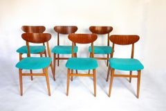 Mid Century Modern Dining Chairs with Blue Velvet Upholstery, Set of 6, 1950s