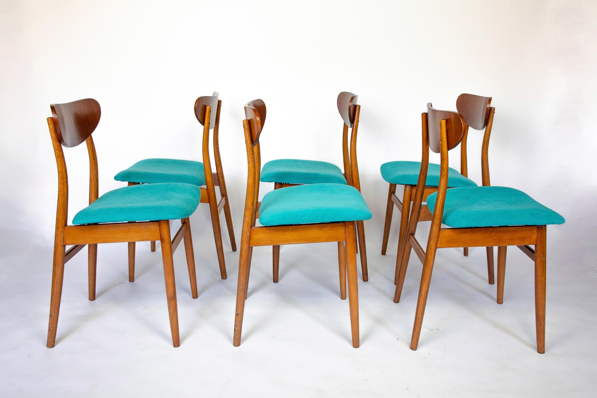 Mid-Century Modern Chaises de salle à manger modernes du milieu du siècle avec tapisserie en velours bleu, ensemble de 6, années 1950 en vente