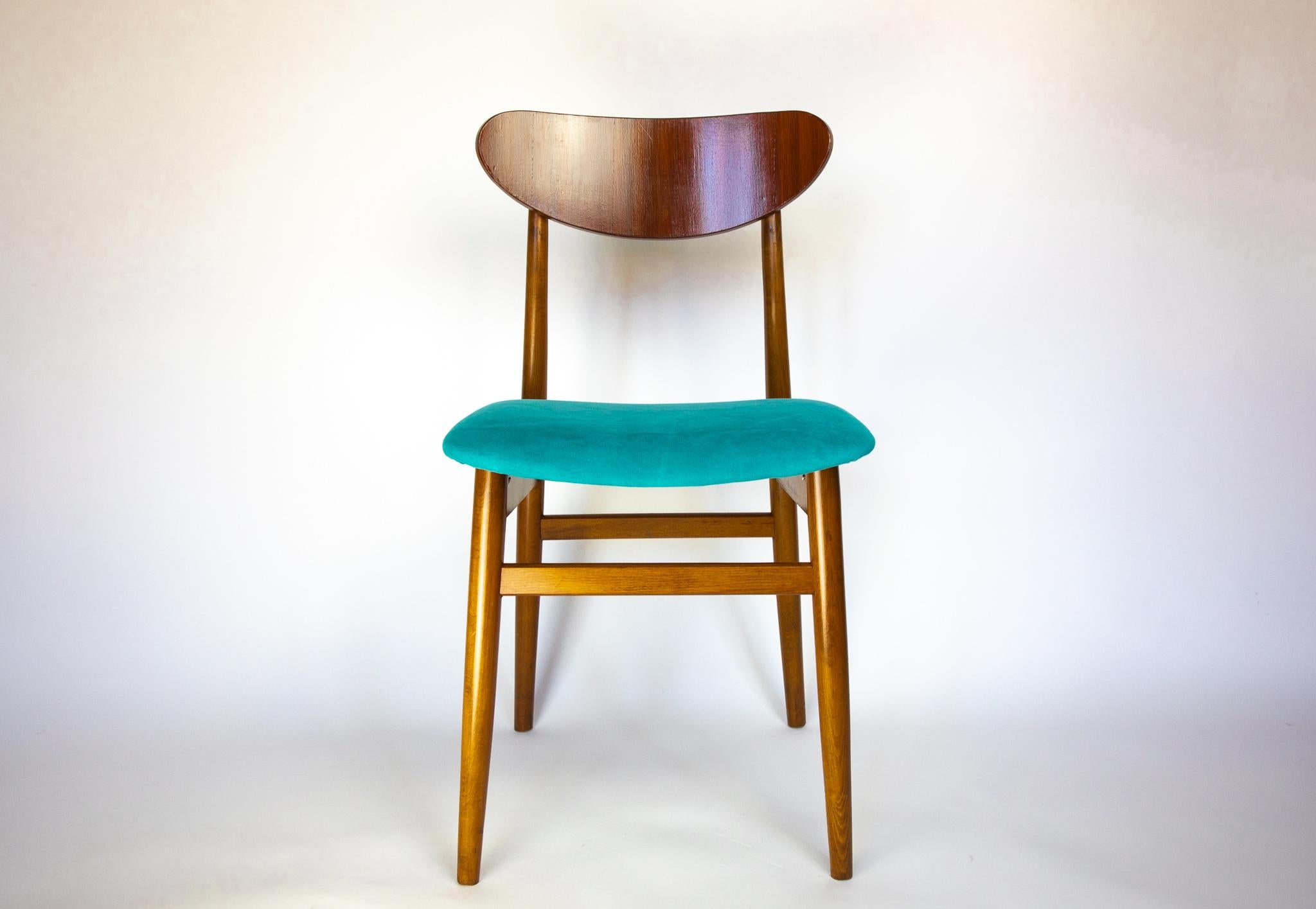 Italian Mid Century Modern Dining Chairs with Blue Velvet Upholstery, Set of 6, 1950s For Sale