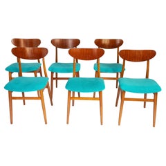 Mid Century Modern Dining Chairs with Blue Velvet Upholstery, Set of 6, 1950s