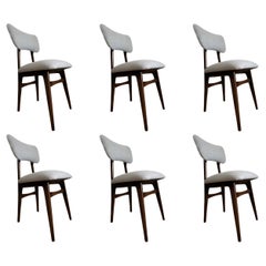 Vintage Set of 6 Midcentury Grey Dining Chairs, Europe, 1960s