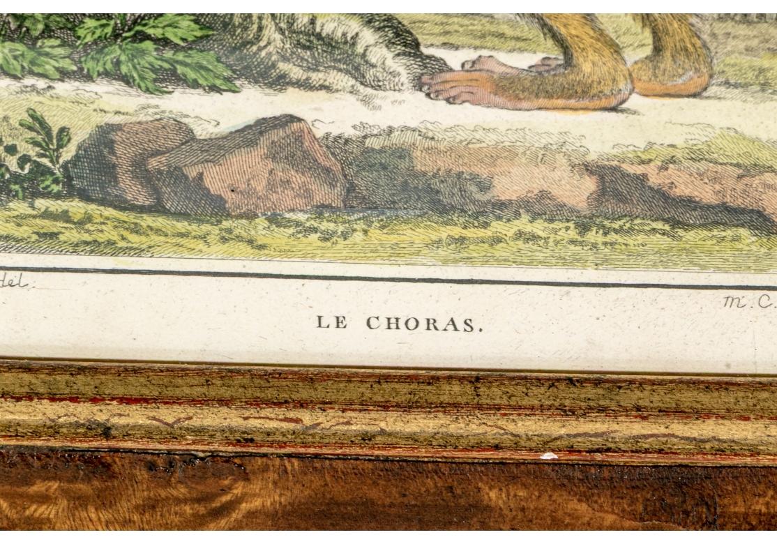 Satz von 6 handkolorierten Affenbuchstaben, circa 19. Jahrhundert im Angebot 7