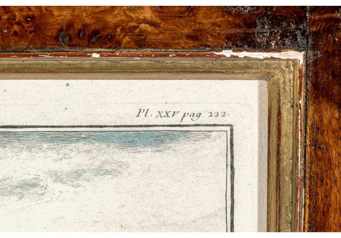 Satz von 6 handkolorierten Affenbuchstaben, circa 19. Jahrhundert im Angebot 9