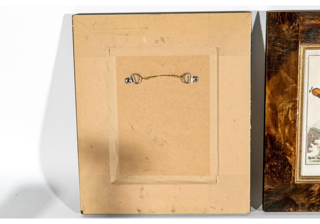 Ein zusammengestellter Satz von 6 handkolorierten Buchdrucken mit verschiedenen Affen vor landschaftlichen Hintergründen. In dieser Gruppe sind enthalten:

Le Sagouin Vulgairement Appelé Singe de Nuit wird Jacques Eustache de Seve zugeschrieben.