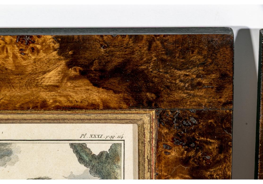 Satz von 6 handkolorierten Affenbuchstaben, circa 19. Jahrhundert (Französisch) im Angebot