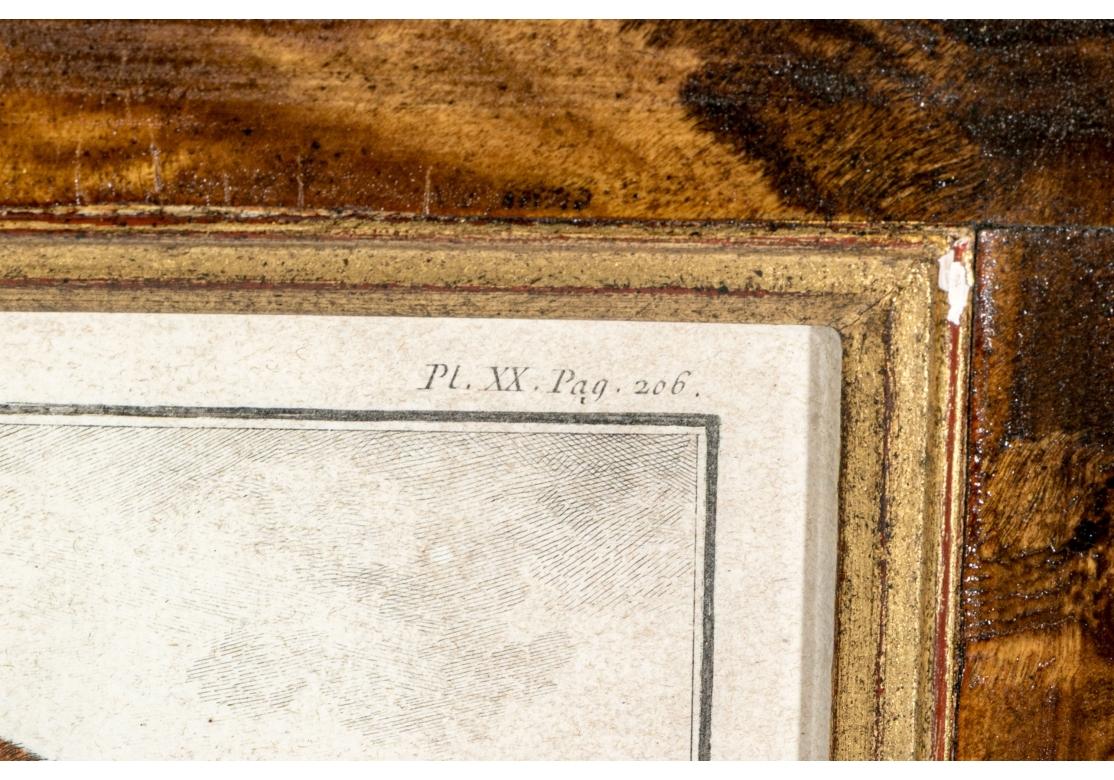 Satz von 6 handkolorierten Affenbuchstaben, circa 19. Jahrhundert im Zustand „Relativ gut“ im Angebot in Bridgeport, CT