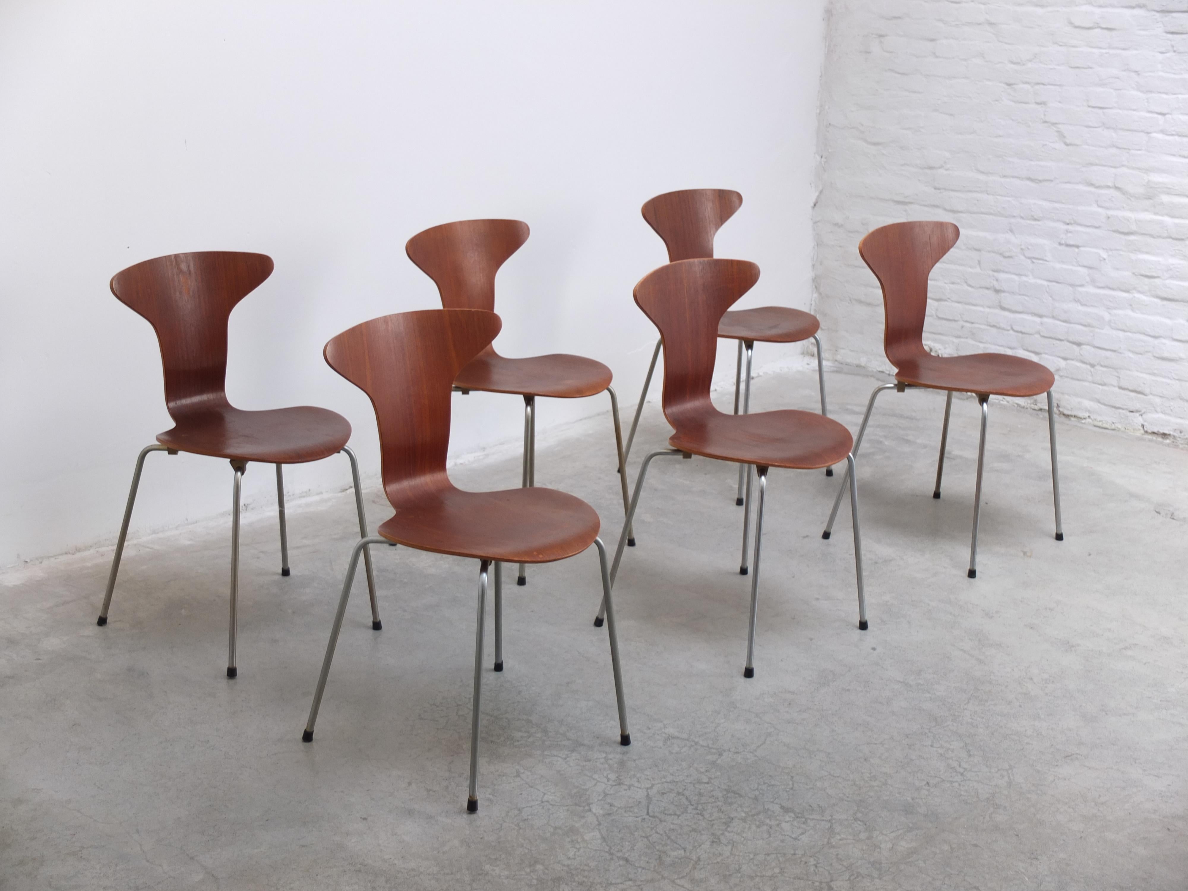Ensemble original de 6 chaises 'Mosquito' conçues par Arne Jacobsen en 1955. Ancienne version en teck avec l'estampille FH, produite vers 1960 par Fritz Hansen. Dans un état exceptionnel pour leur âge, avec des supports de dossier solides et des