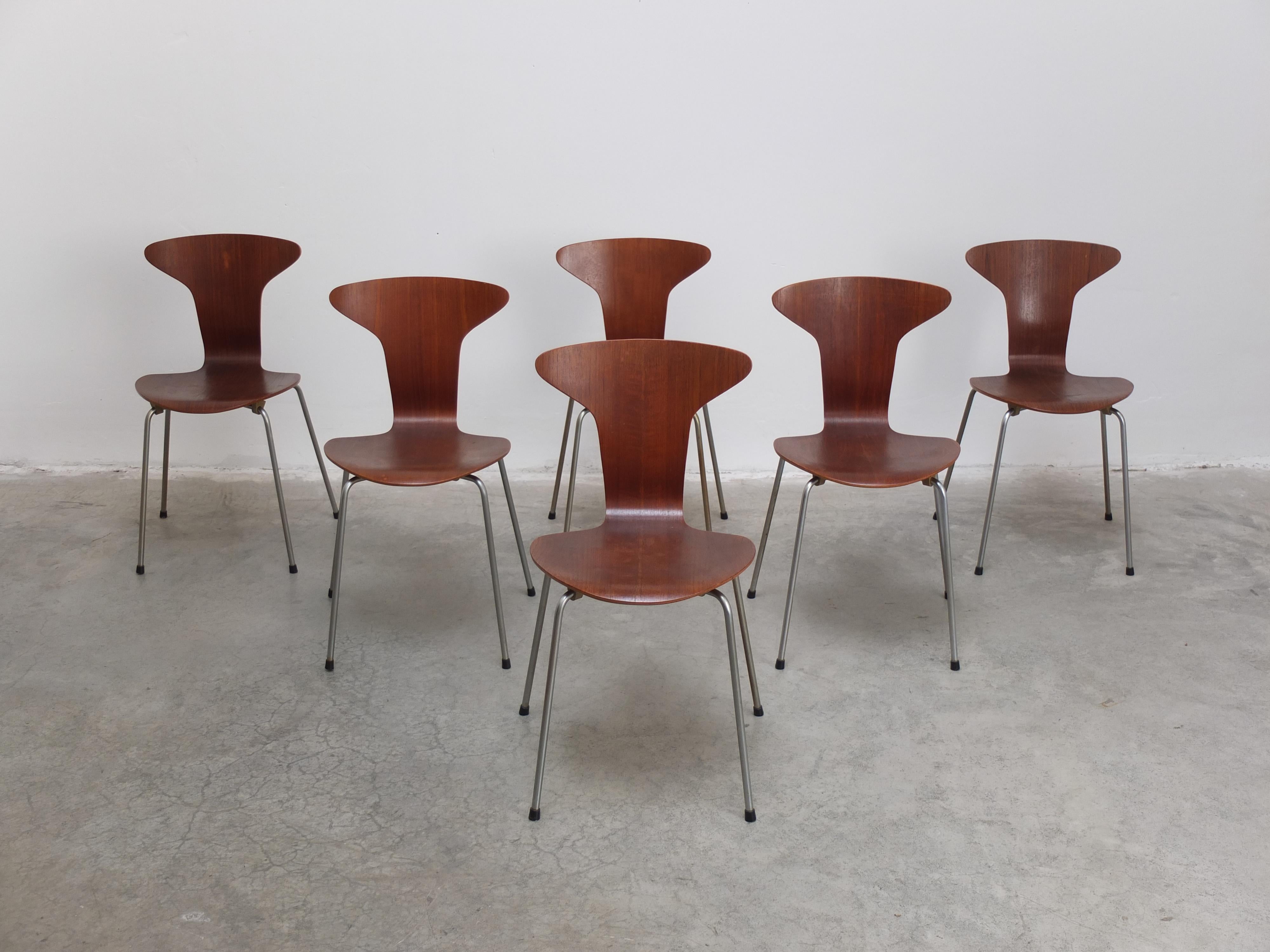 Ensemble de 6 chaises 