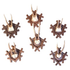 Antique Set of 6 mounted black forest antlers