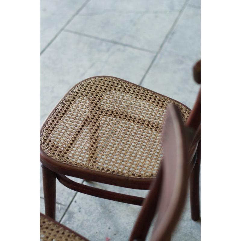 20th Century Set of 6 No. 221 Wickerwork Chairs by Michael Thonet for Thonet, 1920s For Sale