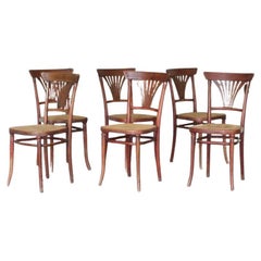 Set of 6 No. 221 Wickerwork Chairs by Michael Thonet for Thonet, 1920s