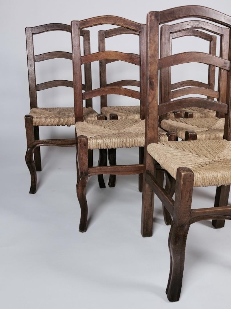 Mid-19th Century Set of 6 North Italian Walnut & Rush Dining Chairs, 19th Century