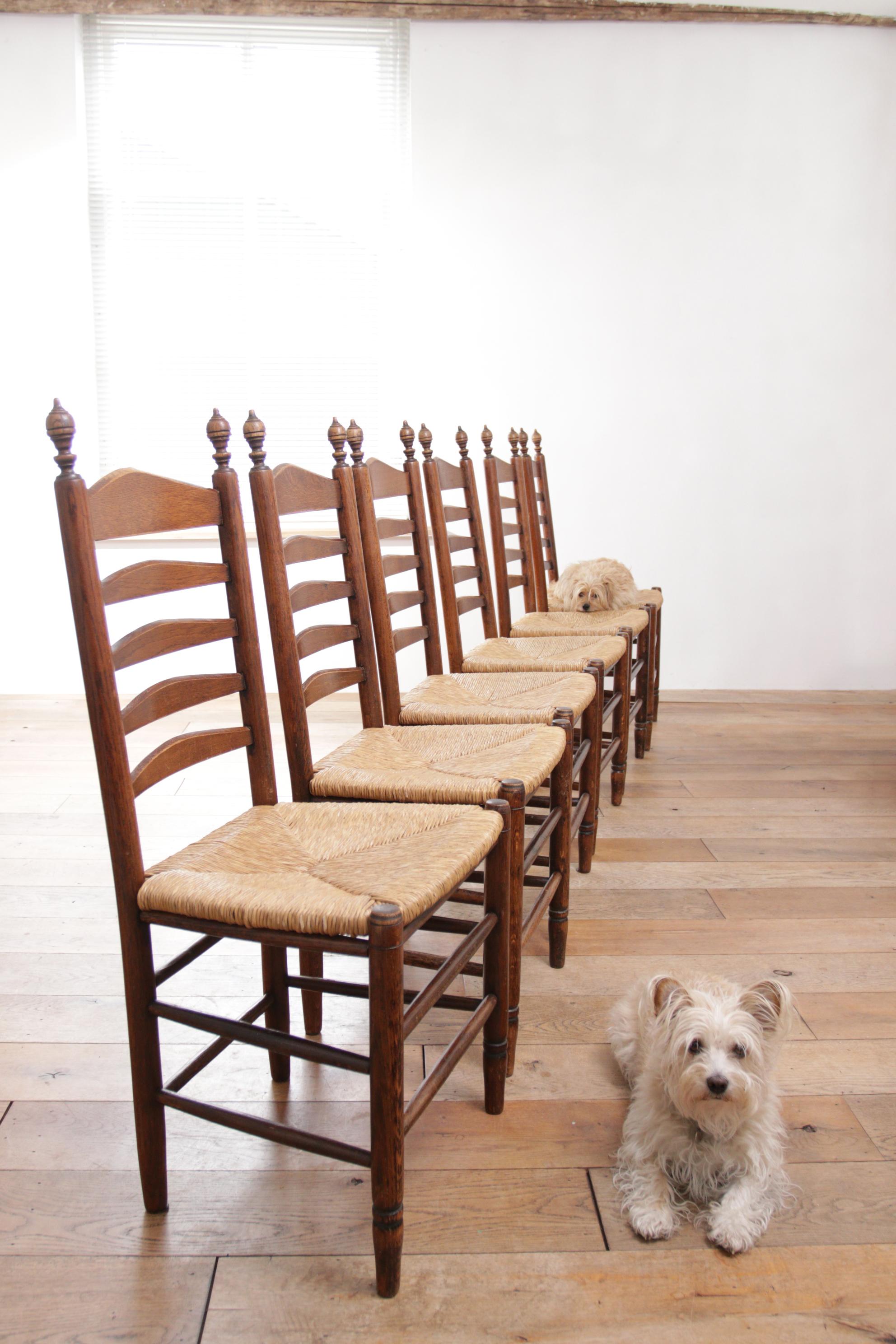 Set of 6 Old Dutch Ladder Back Oak - Rush Seat Dining Chairs 1
