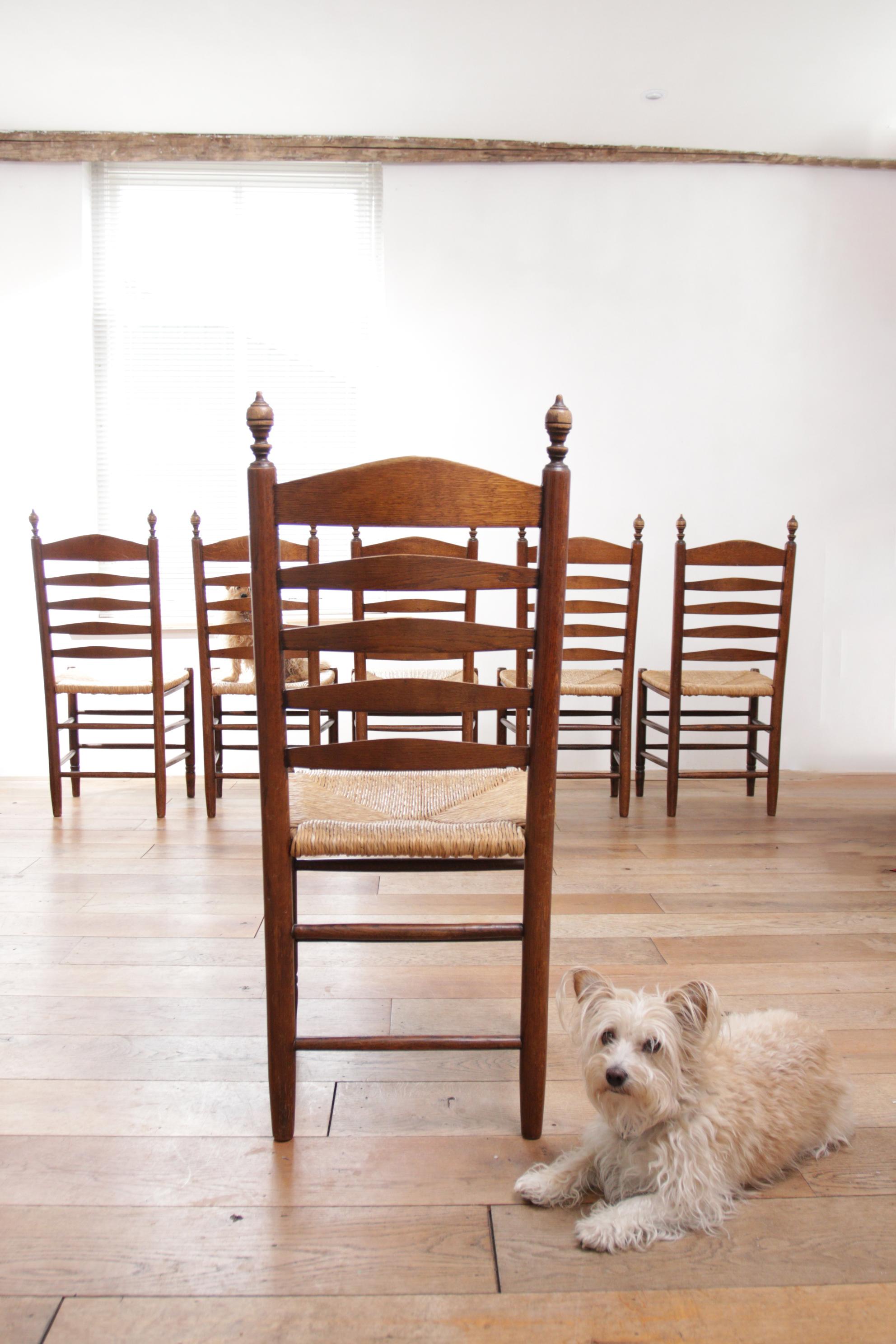 Set of 6 Old Dutch Ladder Back Oak - Rush Seat Dining Chairs 3