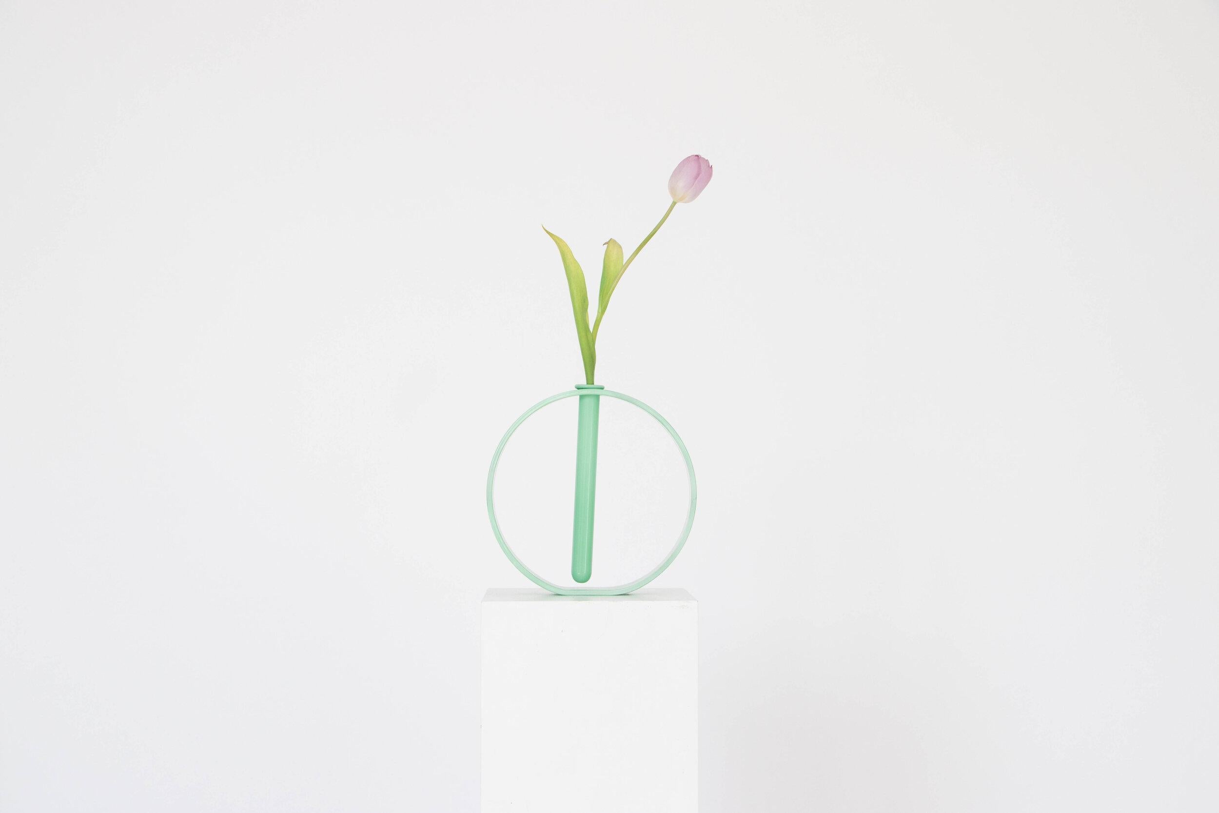 Ein Satz von 6 undurchsichtigen, mintfarbenen Gaia-Vasen von Valeria Vasi
Limitierte Auflage
Handgefertigt in Barcelona, 2021
MATERIALIEN: Glas
Abmessungen: 20 x 4 cm
Auch erhältlich in: opak rosa, opak mint, opak lila. 

Eine skulpturale Vase, die
