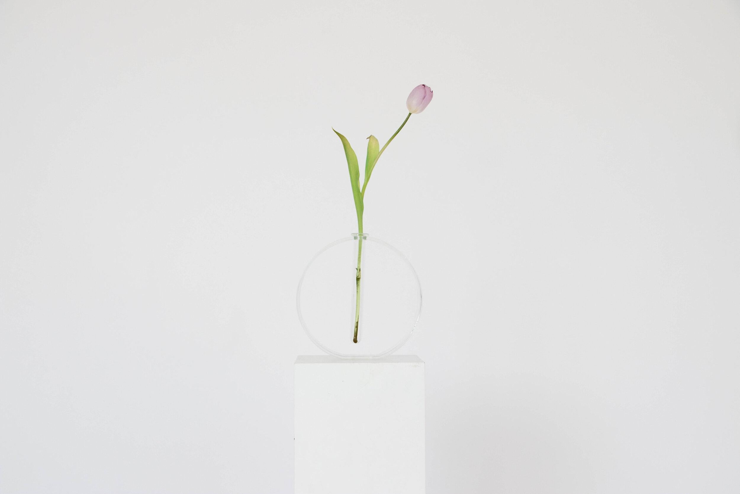 Set von 6 undurchsichtigen Gaia-Vasen aus Mint von Valeria Vasi im Zustand „Neu“ im Angebot in Geneve, CH