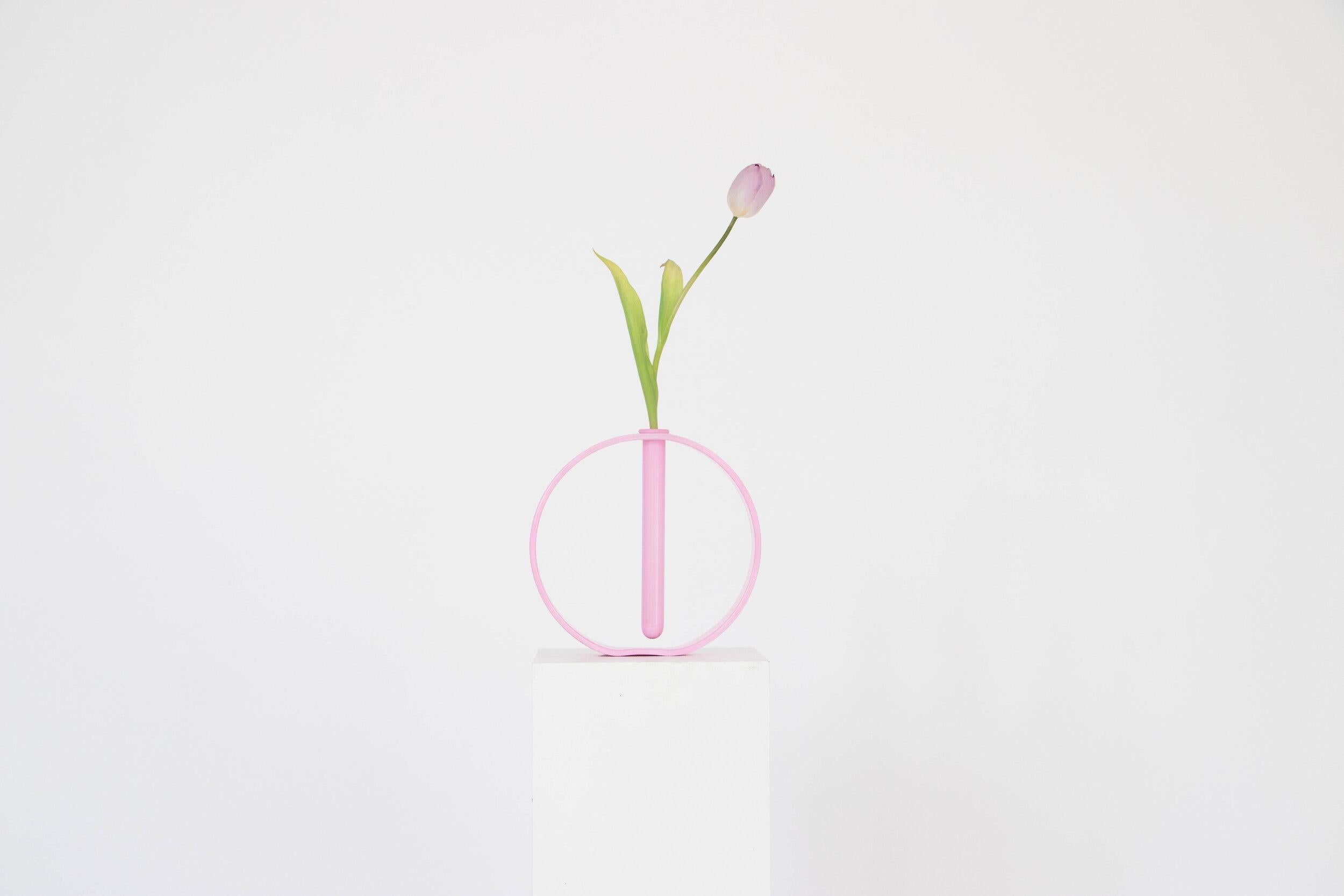 Un set di 6 vasi Gaia rosa opachi di Valeria Vasi
Edizione limitata
Realizzato a mano a Barcellona, 2021
Materiali: vetro
Dimensioni: 20 x 4 cm
Disponibile anche in: rosa opaco, menta opaco, lilla opaco. 

Un vaso scultoreo interamente realizzato a
