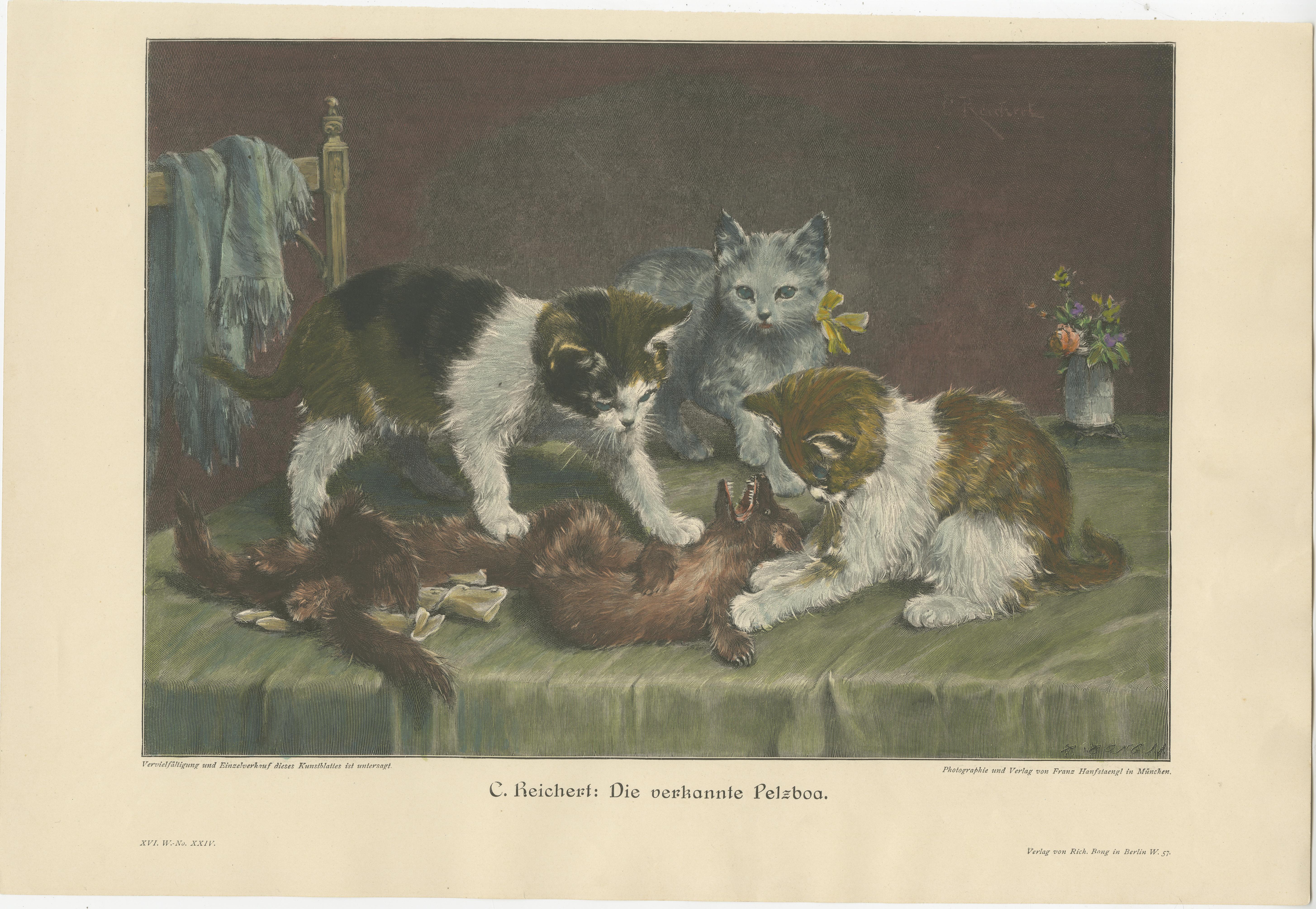 Ensemble de six gravures originales de chats d'après des peintures de C. Reichert, J. Adam, B. Cobbe, F. Birkinger, J. le Roy et L. Huber. Coloriage ultérieur à la main. Publié vers 1898. 

