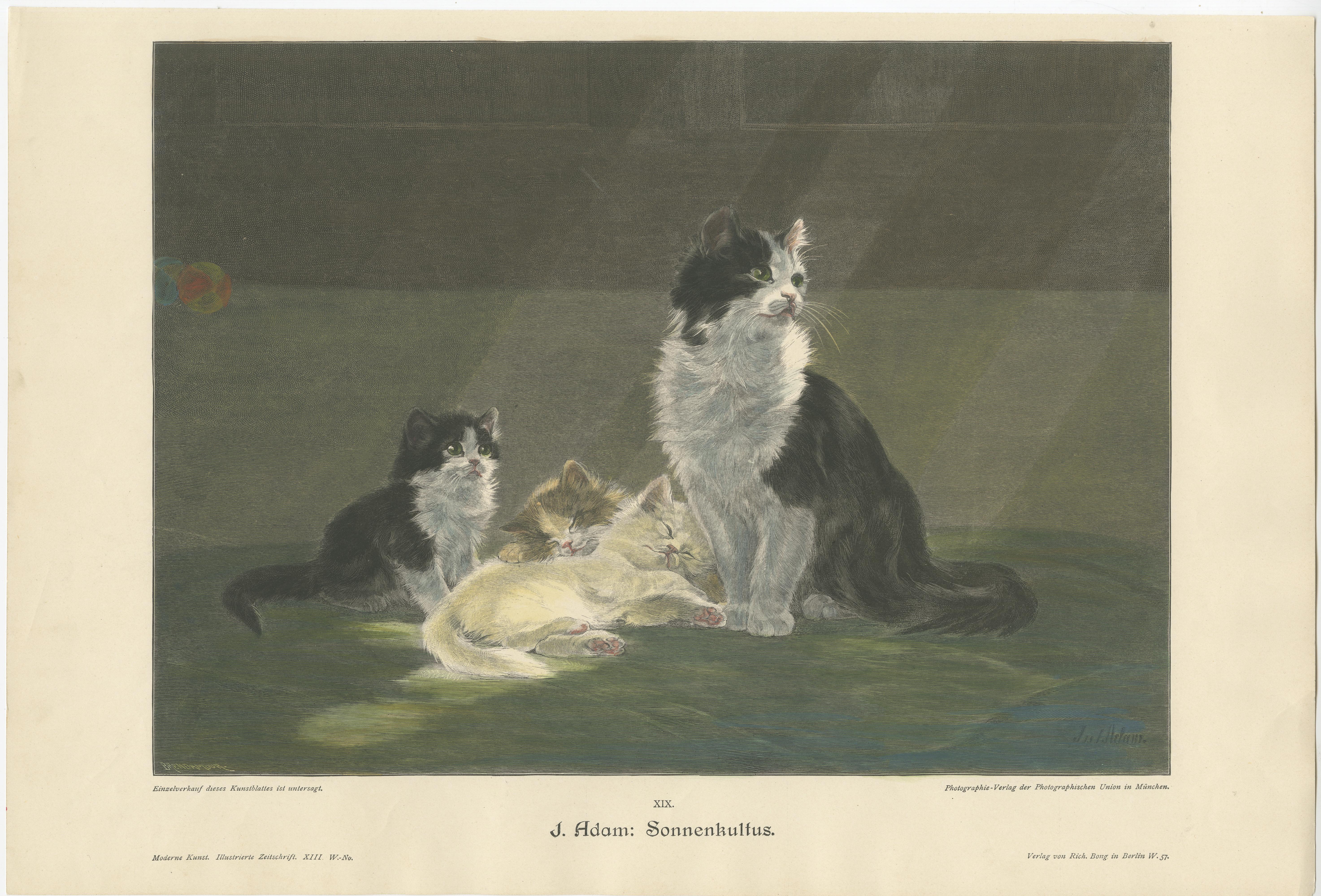Ensemble de 6 gravures anciennes originales de chats d'après des peintures, vers 1898 Bon état - En vente à Langweer, NL