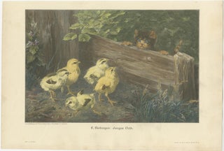 Set of 6 Original Antique Cat Prints made after paintings, circa 1898, view 5