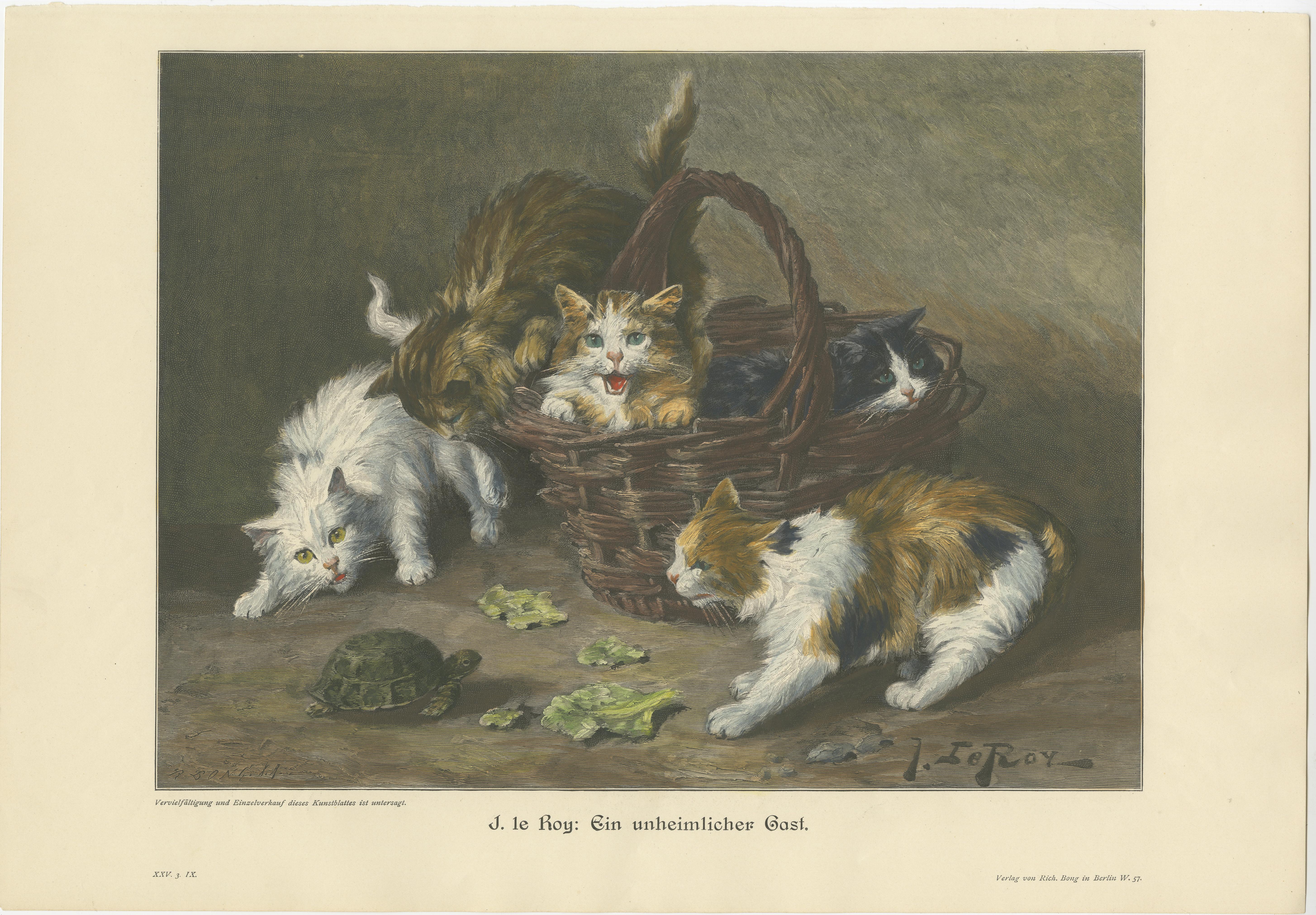 Ensemble de 6 gravures anciennes originales de chats d'après des peintures, vers 1898 en vente 1