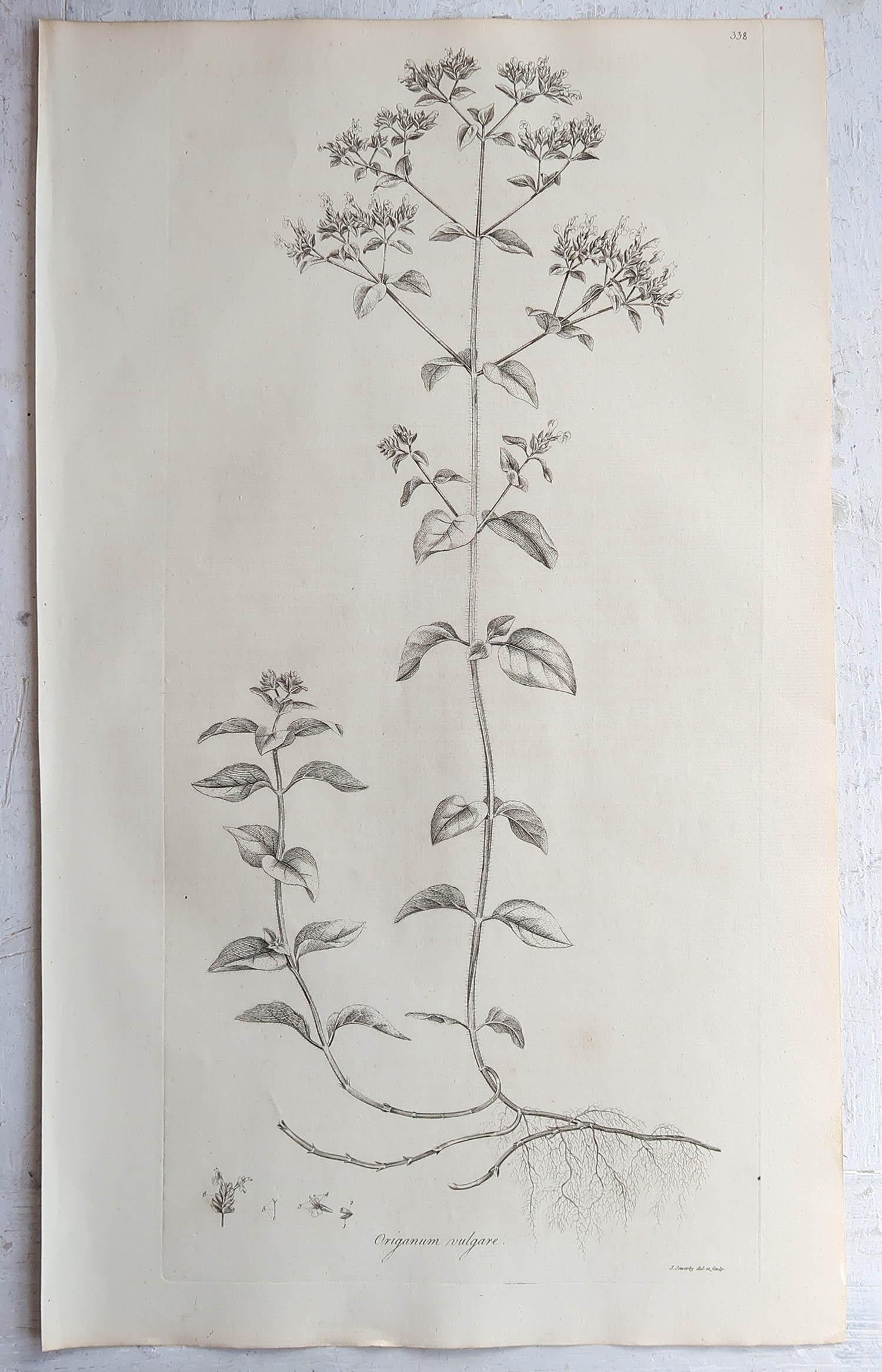 Wonderful set of 6 botanical prints. All herbs

A beautiful colour of off-white/cream to the paper.

Dated 1791

Originally from 