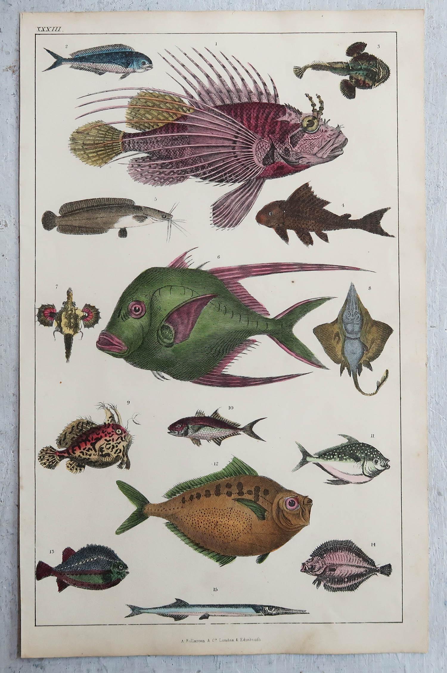 Other Set of 6 Original Antique Natural History Prints, 1847 For Sale