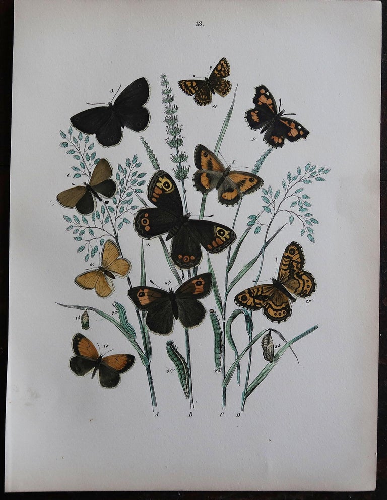 Set of 6 Original Antique Prints of Butterflies, circa 1880 In Good Condition In St Annes, Lancashire