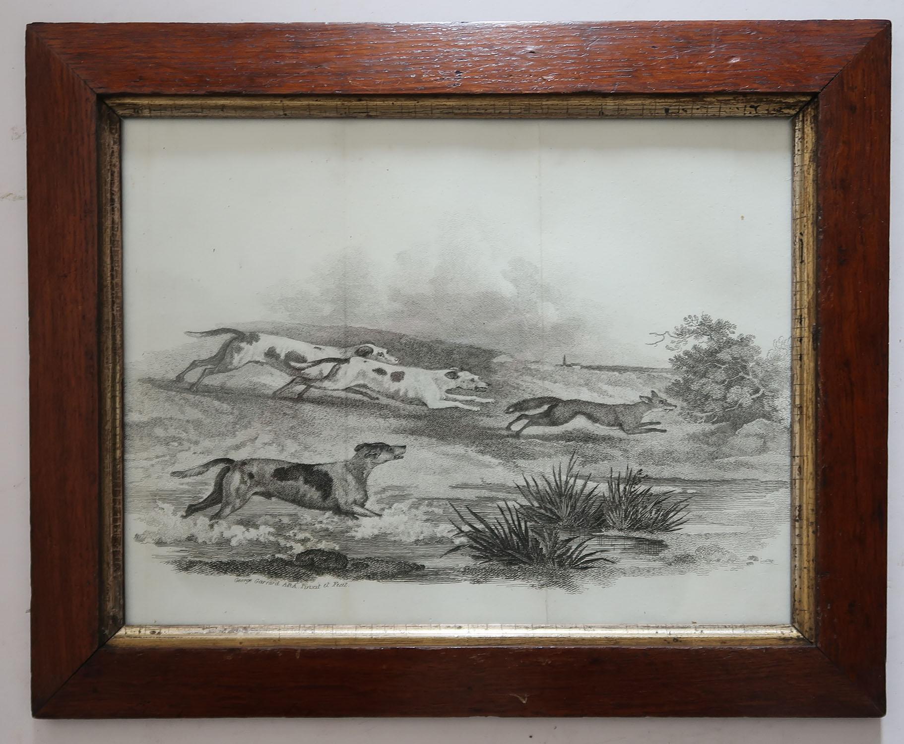 Great set of sporting prints

In the original pollard oak frames

Country House condition

Copper-plate engravings after Landseer, Gilpin, Chalon etc 

Published by Daniell, London C.1810

The measurement below is for one