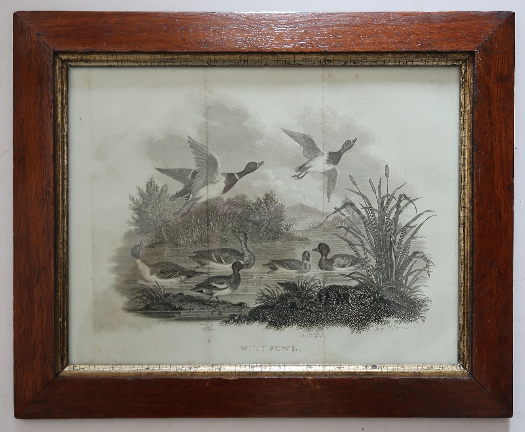Folk Art Set of 6 Original Antique Sporting Prints in Pollard Oak Frames, C.1810